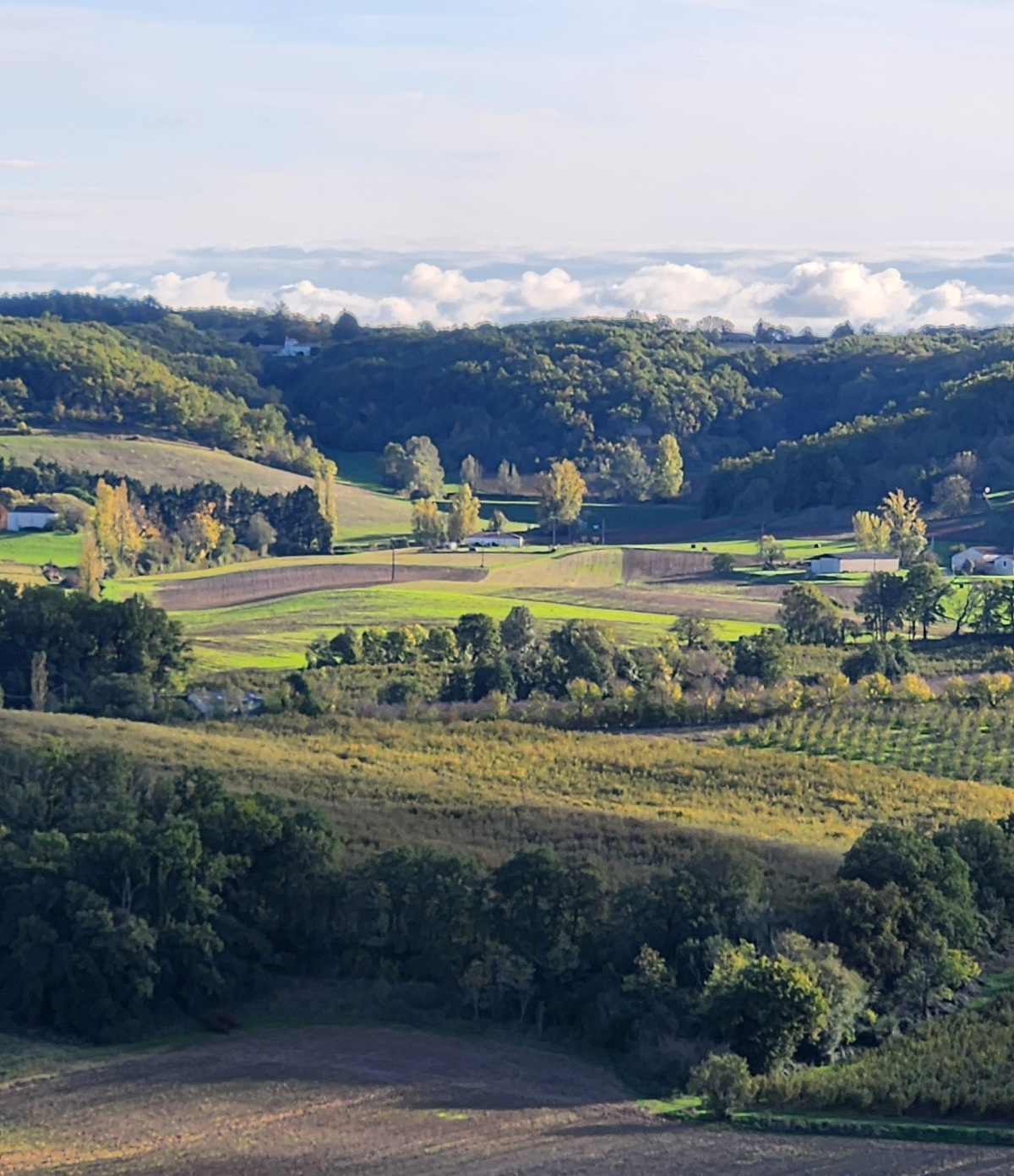 Artistic
_Vacation_France